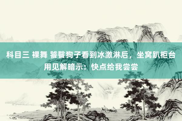 科目三 裸舞 饕餮狗子看到冰激淋后，坐窝趴柜台用见解暗示：快点给我尝尝