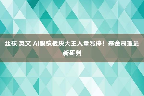 丝袜 英文 AI眼镜板块大王人量涨停！基金司理最新研判