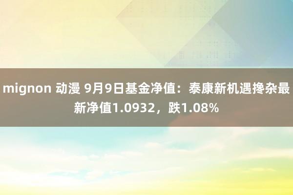 mignon 动漫 9月9日基金净值：泰康新机遇搀杂最新净值1.0932，跌1.08%