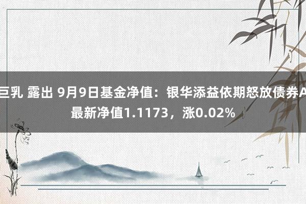 巨乳 露出 9月9日基金净值：银华添益依期怒放债券A最新净值1.1173，涨0.02%