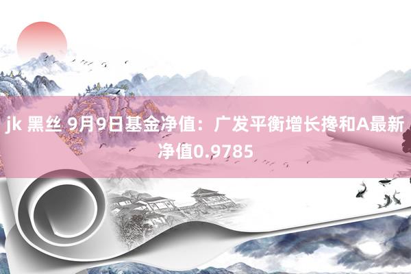 jk 黑丝 9月9日基金净值：广发平衡增长搀和A最新净值0.9785