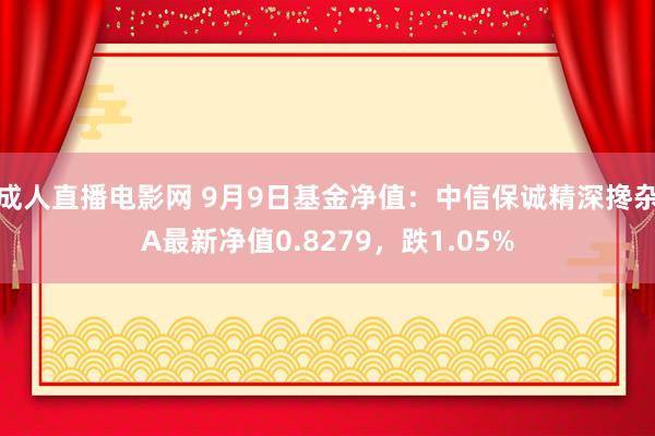 成人直播电影网 9月9日基金净值：中信保诚精深搀杂A最新净值0.8279，跌1.05%