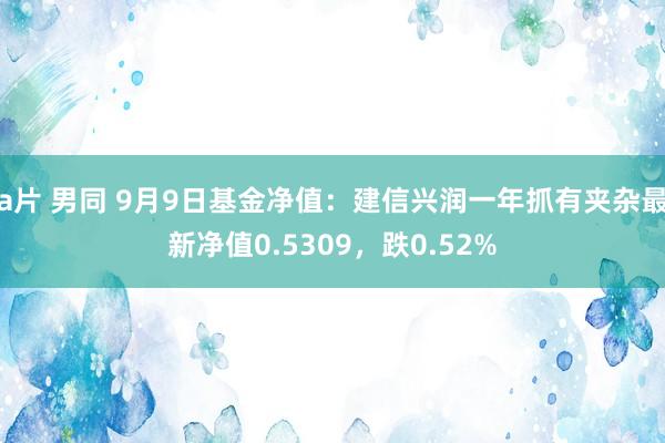 a片 男同 9月9日基金净值：建信兴润一年抓有夹杂最新净值0.5309，跌0.52%