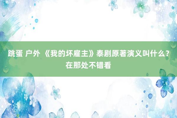 跳蛋 户外 《我的坏雇主》泰剧原著演义叫什么？在那处不错看