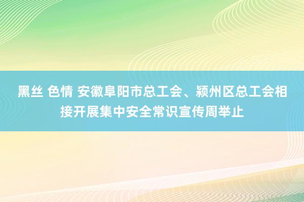 黑丝 色情 安徽阜阳市总工会、颍州区总工会相接开展集中安全常识宣传周举止