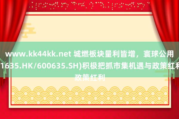 www.kk44kk.net 城燃板块量利皆增，寰球公用(1635.HK/600635.SH)积极把抓市集机遇与政策红利