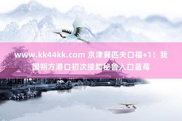 www.kk44kk.com 京津冀匹夫口福+1！我国朔方港口初次接卸秘鲁入口蓝莓