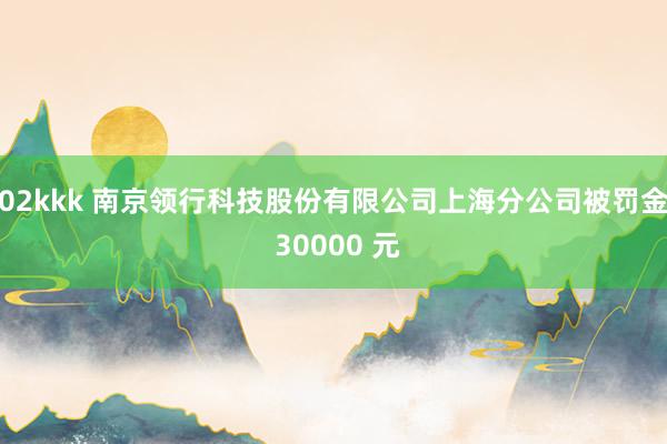 02kkk 南京领行科技股份有限公司上海分公司被罚金 30000 元