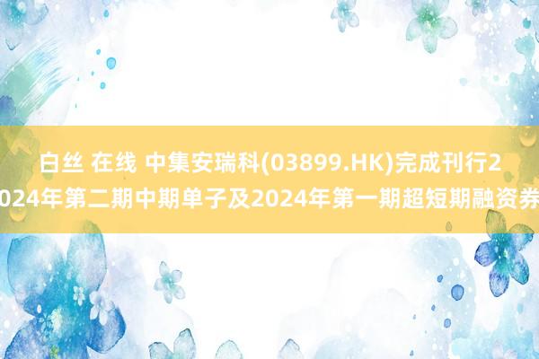 白丝 在线 中集安瑞科(03899.HK)完成刊行2024年第二期中期单子及2024年第一期超短期融资券