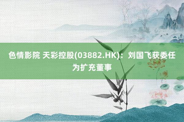 色情影院 天彩控股(03882.HK)：刘国飞获委任为扩充董事