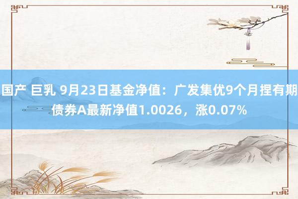 国产 巨乳 9月23日基金净值：广发集优9个月捏有期债券A最新净值1.0026，涨0.07%