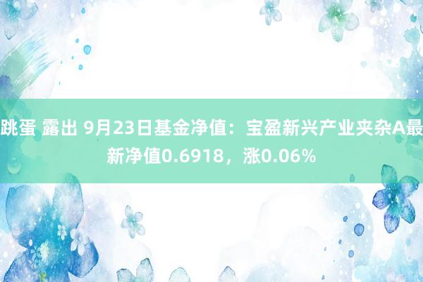 跳蛋 露出 9月23日基金净值：宝盈新兴产业夹杂A最新净值0.6918，涨0.06%