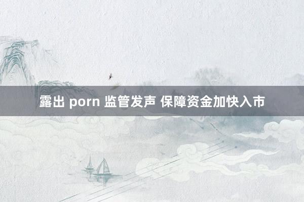 露出 porn 监管发声 保障资金加快入市