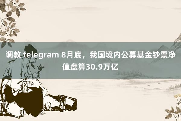 调教 telegram 8月底，我国境内公募基金钞票净值盘算30.9万亿