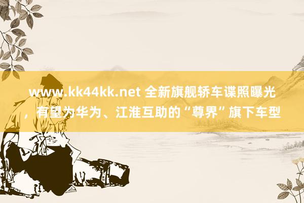 www.kk44kk.net 全新旗舰轿车谍照曝光，有望为华为、江淮互助的“尊界”旗下车型