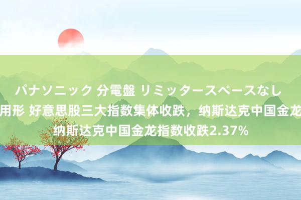 パナソニック 分電盤 リミッタースペースなし 露出・半埋込両用形 好意思股三大指数集体收跌，纳斯达克中国金龙指数收跌2.37%