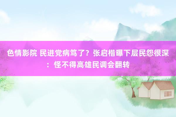 色情影院 民进党病笃了？张启楷曝下层民怨很深：怪不得高雄民调会翻转