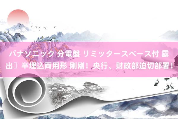 パナソニック 分電盤 リミッタースペース付 露出・半埋込両用形 刚刚！央行、财政部迫切部署！