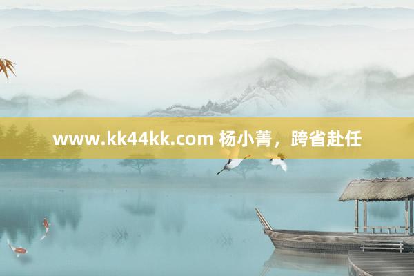 www.kk44kk.com 杨小菁，跨省赴任