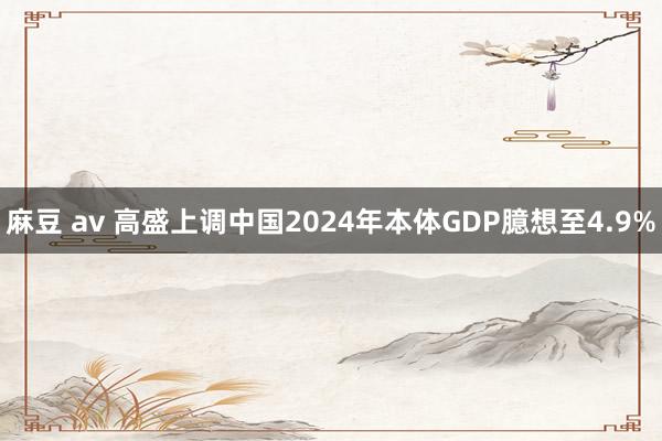 麻豆 av 高盛上调中国2024年本体GDP臆想至4.9%