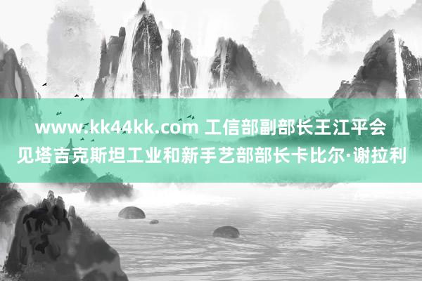 www.kk44kk.com 工信部副部长王江平会见塔吉克斯坦工业和新手艺部部长卡比尔·谢拉利