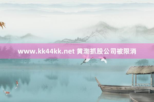 www.kk44kk.net 黄渤抓股公司被限消