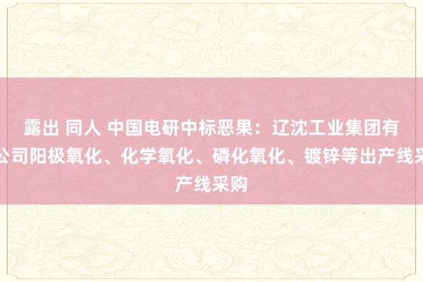 露出 同人 中国电研中标恶果：辽沈工业集团有限公司阳极氧化、化学氧化、磷化氧化、镀锌等出产线采购