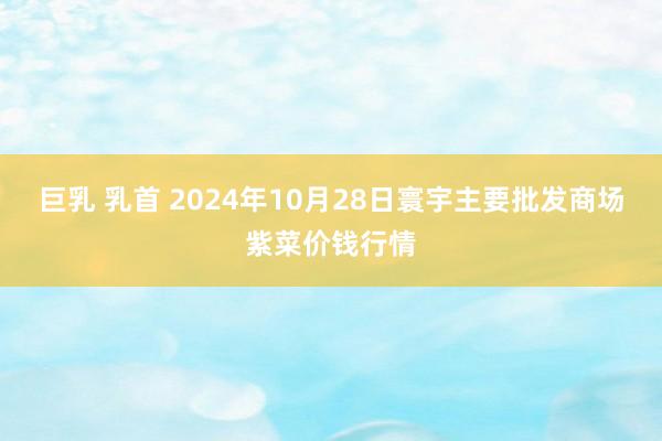 巨乳 乳首 2024年10月28日寰宇主要批发商场紫菜价钱行情