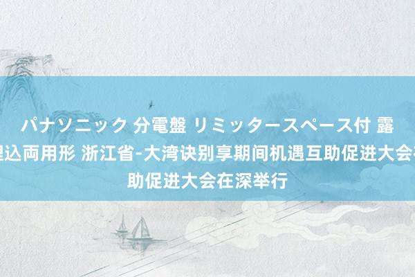 パナソニック 分電盤 リミッタースペース付 露出・半埋込両用形 浙江省-大湾诀别享期间机遇互助促进大会在深举行