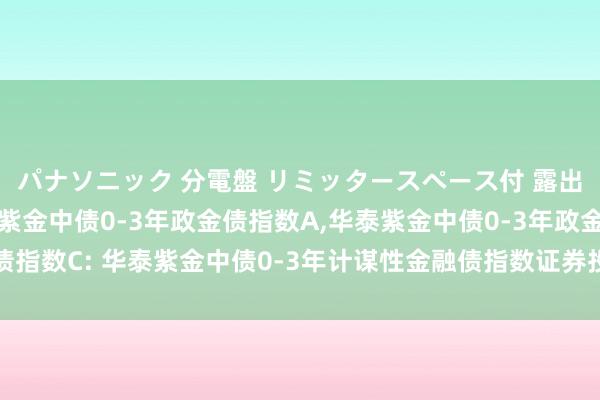 パナソニック 分電盤 リミッタースペース付 露出・半埋込両用形 华泰紫金中债0-3年政金债指数A，华泰紫金中债0-3年政金债指数C: 华泰紫金中债0-3年计谋性金融债指数证券投资基金基金份额发售公告