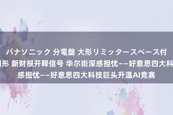 パナソニック 分電盤 大形リミッタースペース付 露出・半埋込両用形 新财报开释信号 华尔街深感担忧——好意思四大科技巨头升温AI竞赛