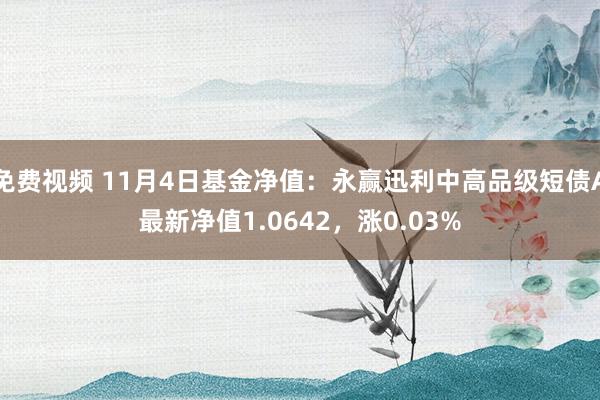 免费视频 11月4日基金净值：永赢迅利中高品级短债A最新净值1.0642，涨0.03%