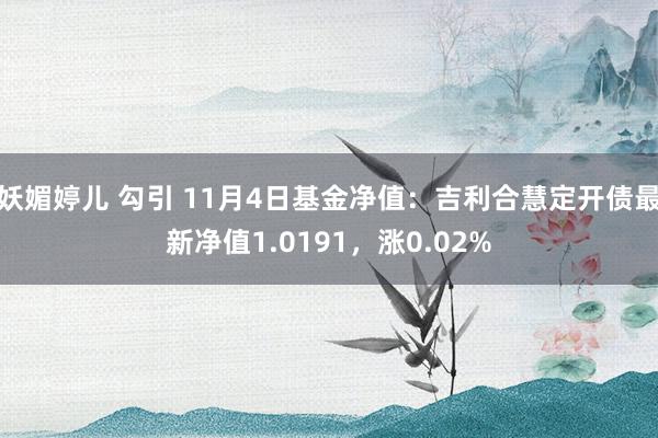 妖媚婷儿 勾引 11月4日基金净值：吉利合慧定开债最新净值1.0191，涨0.02%