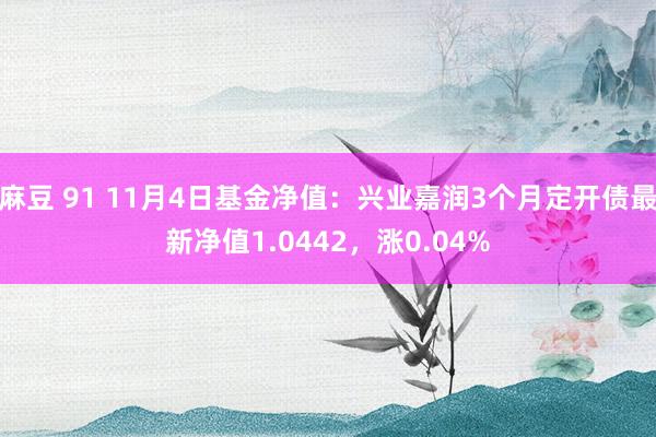 麻豆 91 11月4日基金净值：兴业嘉润3个月定开债最新净值1.0442，涨0.04%