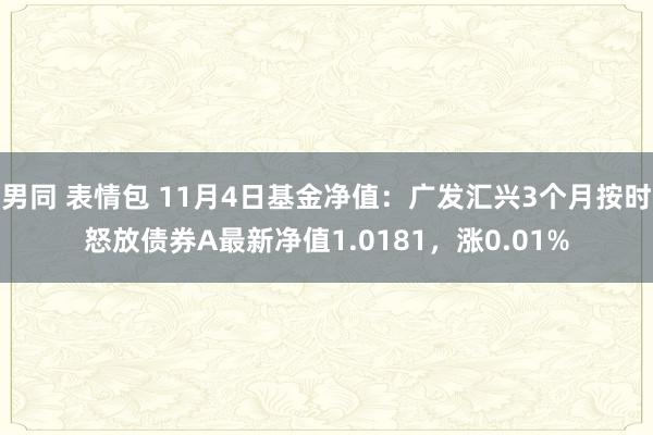 男同 表情包 11月4日基金净值：广发汇兴3个月按时怒放债券A最新净值1.0181，涨0.01%