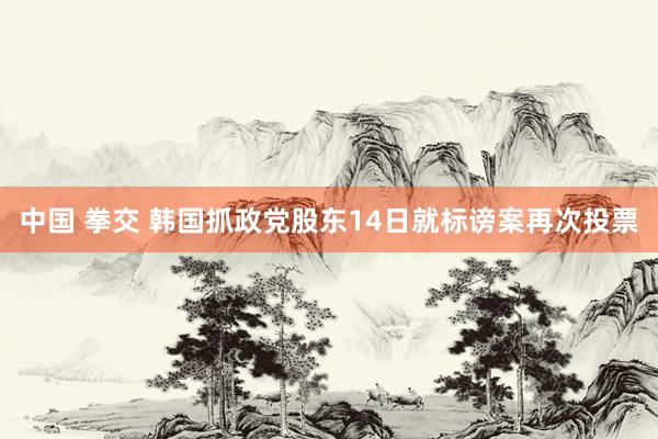 中国 拳交 韩国抓政党股东14日就标谤案再次投票