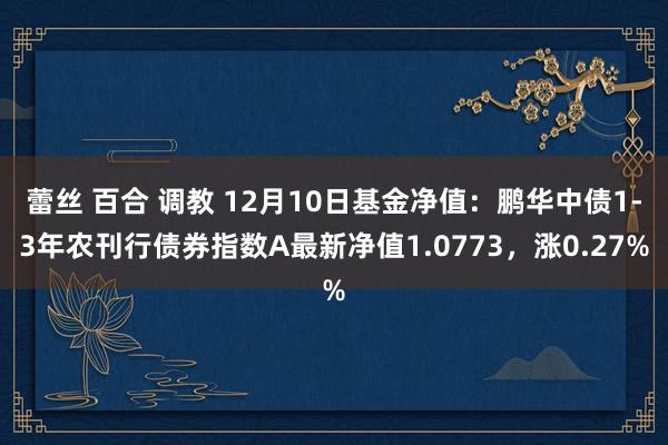 蕾丝 百合 调教 12月10日基金净值：鹏华中债1-3年农刊行债券指数A最新净值1.0773，涨0.27%