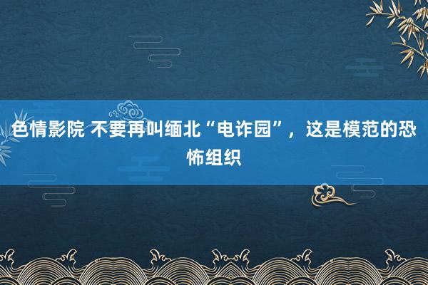 色情影院 不要再叫缅北“电诈园”，这是模范的恐怖组织