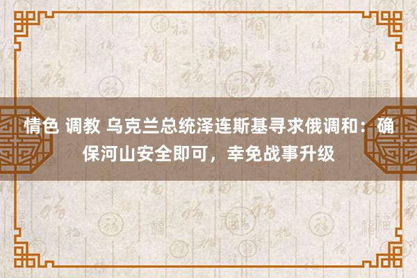 情色 调教 乌克兰总统泽连斯基寻求俄调和：确保河山安全即可，幸免战事升级