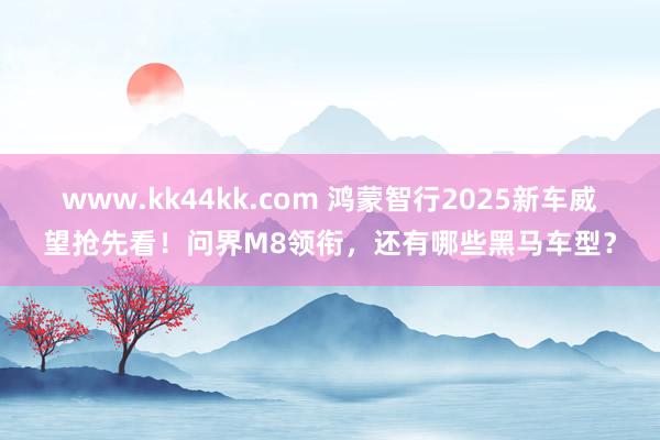 www.kk44kk.com 鸿蒙智行2025新车威望抢先看！问界M8领衔，还有哪些黑马车型？