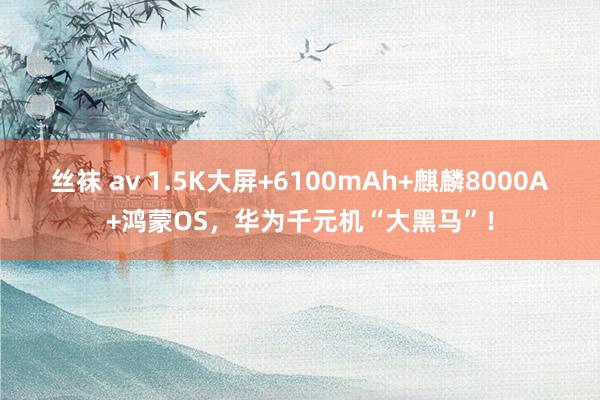 丝袜 av 1.5K大屏+6100mAh+麒麟8000A+鸿蒙OS，华为千元机“大黑马”！