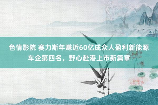 色情影院 赛力斯年赚近60亿成众人盈利新能源车企第四名，野心赴港上市新篇章